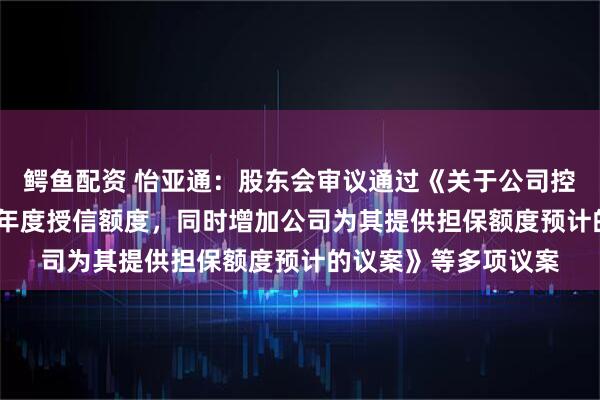 鳄鱼配资 怡亚通：股东会审议通过《关于公司控股子公司增加2026年度授信额度，同时增加公司为其提供担保额度预计的议案》等多项议案