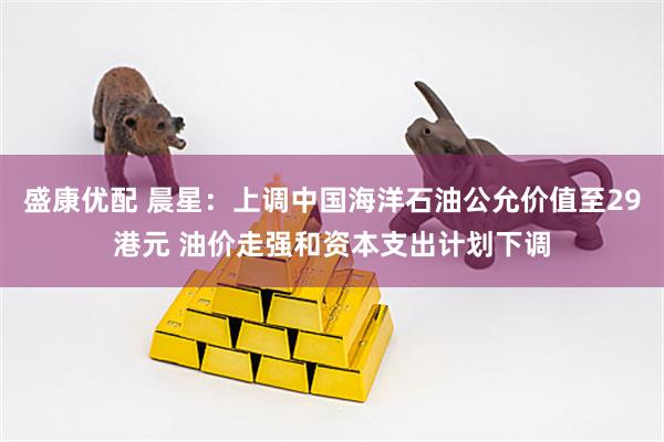 盛康优配 晨星：上调中国海洋石油公允价值至29港元 油价走强和资本支出计划下调