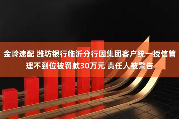 金岭速配 潍坊银行临沂分行因集团客户统一授信管理不到位被罚款30万元 责任人被警告