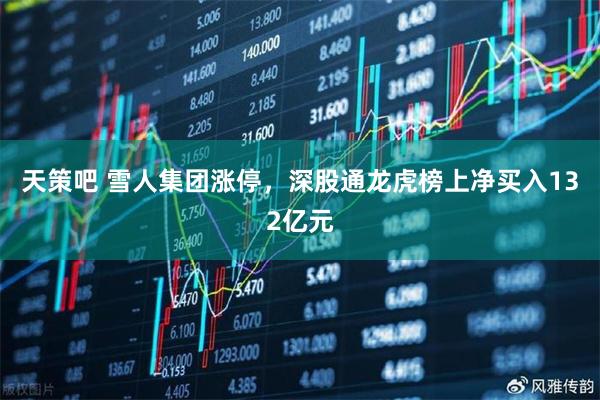 天策吧 雪人集团涨停，深股通龙虎榜上净买入132亿元