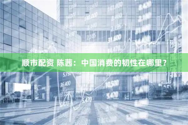 顺市配资 陈茜：中国消费的韧性在哪里？
