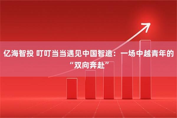 亿海智投 叮叮当当遇见中国智造：一场中越青年的“双向奔赴”